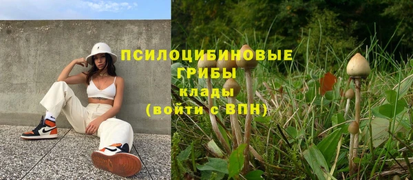дмт Богородск