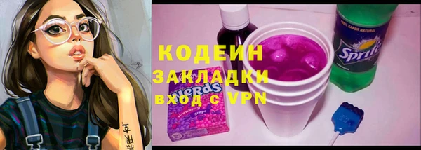 ПСИЛОЦИБИНОВЫЕ ГРИБЫ Богданович