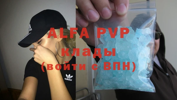 ПСИЛОЦИБИНОВЫЕ ГРИБЫ Богданович