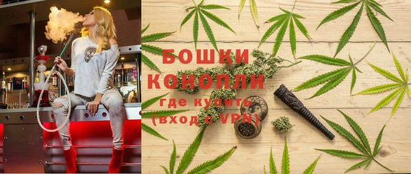 дмт Богородск