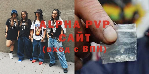 ПСИЛОЦИБИНОВЫЕ ГРИБЫ Богданович