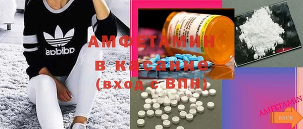 ПСИЛОЦИБИНОВЫЕ ГРИБЫ Богданович