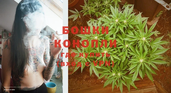 дмт Богородск