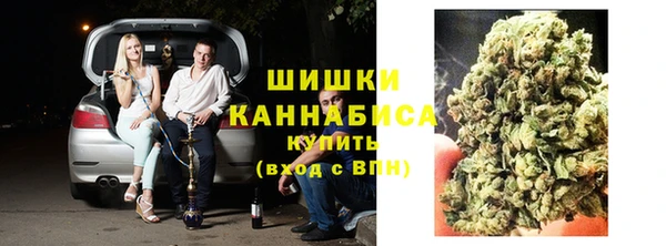 ПСИЛОЦИБИНОВЫЕ ГРИБЫ Богданович