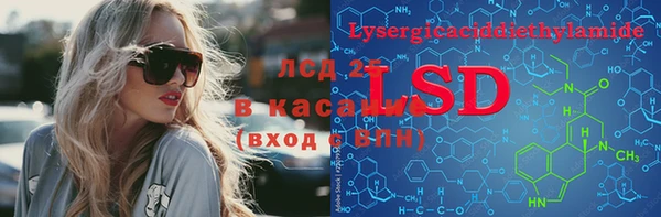 ПСИЛОЦИБИНОВЫЕ ГРИБЫ Богданович