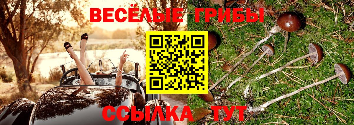 Галлюциногенные грибы Psilocybine cubensis Видное